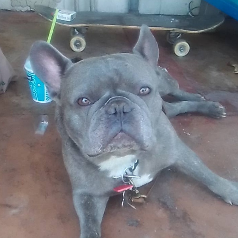 Meet your Posher, Vito